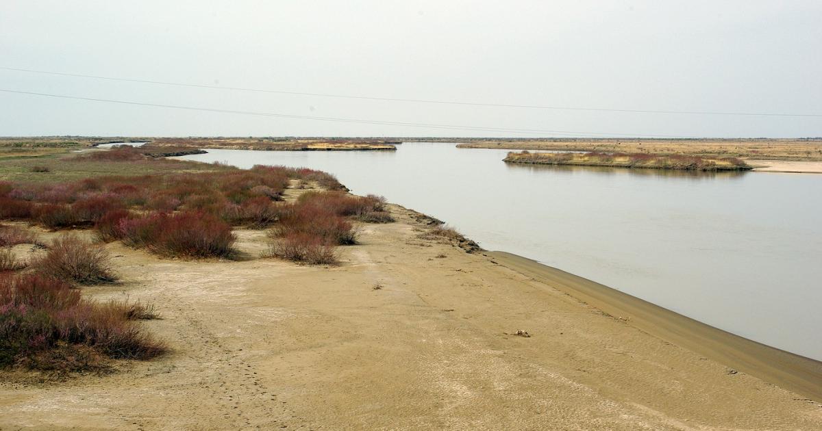 Сырдарья и Амударья